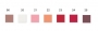 Lip Perfector 12ml